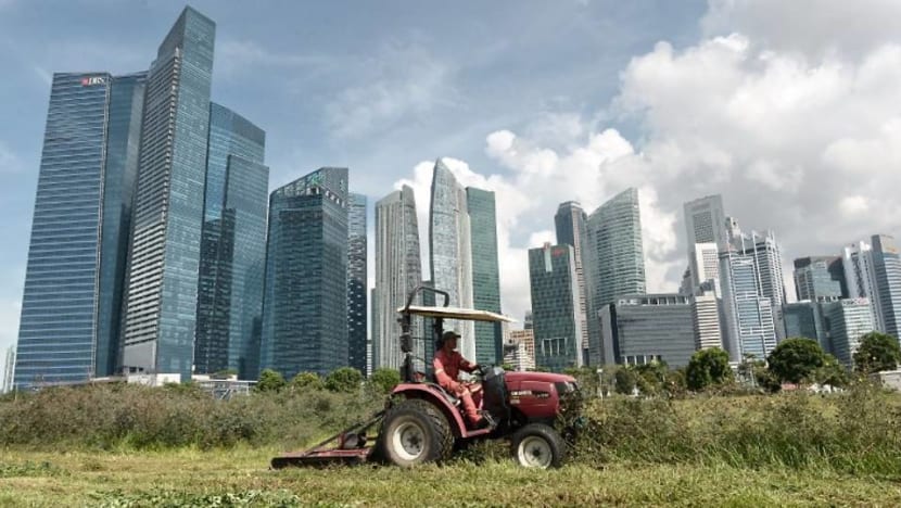 Commentary: Climate change in Singapore and what the future brings Commentary: Climate change in Singapore and what the future brings