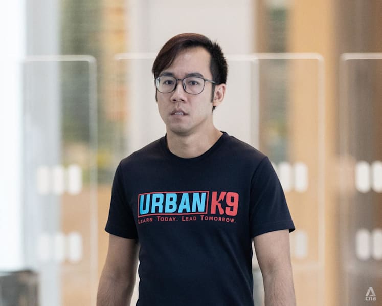 Man fined S$5,000 for providing dog 'staycay' services at unlicensed boarding facility