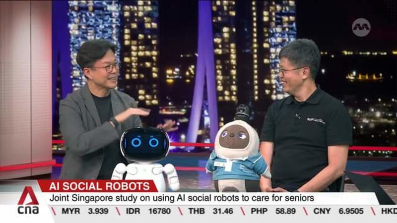 Singapore study to explore using AI social robots to interact with seniors