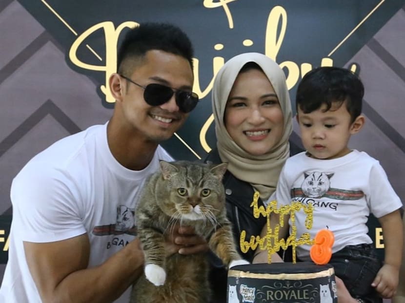 Bujibu celebrates his birthday with his owners. The British Shorthair is a celebrity in Malaysia, with over 1.1 million followers on its Instagram account. Photo: Malay Mail Online