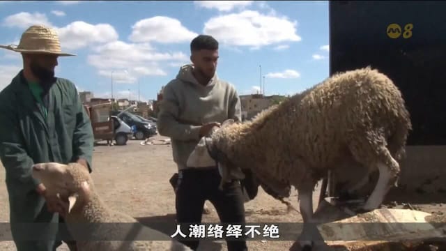 摆脱连旱阴影 摩洛哥回教徒欢欣迎接哈芝节