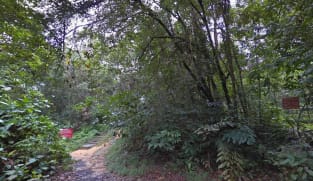Cyclist shot near SAF range under investigation for wilful trespass