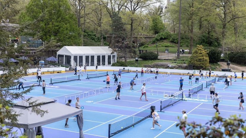 Pickleball-Owl AI to bring electronic line-calling to pro pickleball, eyes wider sporting impact