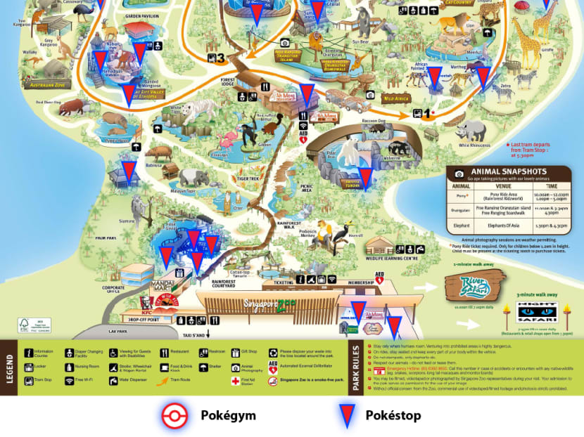8 Pokémon gyms and 78 Pokéstops at 4 S’pore wildlife parks