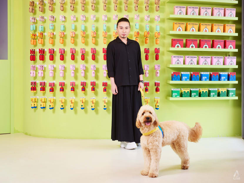 Luxury dog boutique shop