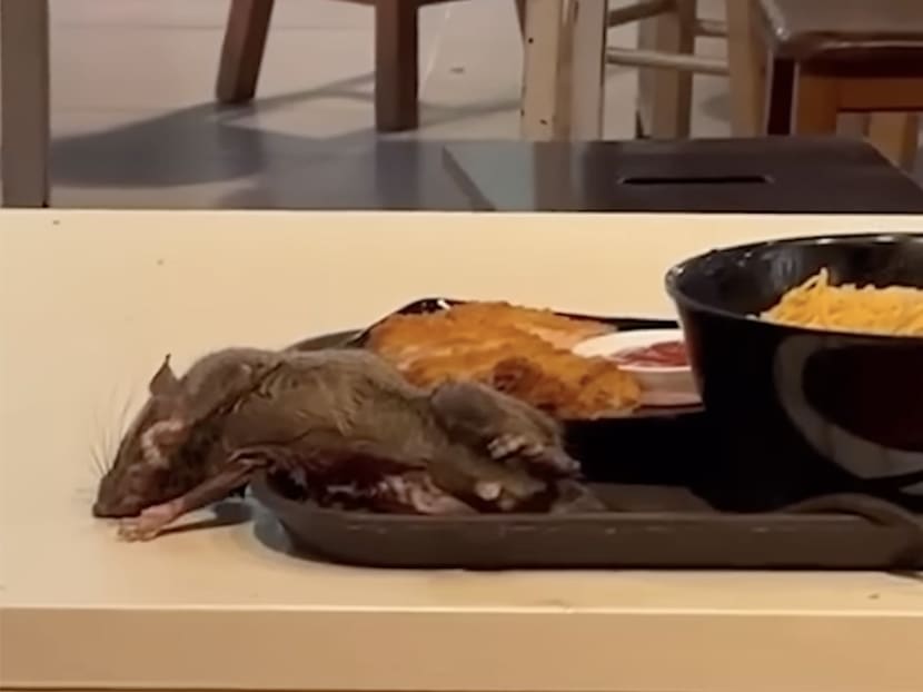 A screengrab of a video clip from social media channel Xiaohongshu showing a rat lying on a food tray at Tangs Market food court. A screengrab of a video clip from social media channel Xiaohongshu showing a rat lying on a food tray at Tangs Market food court.