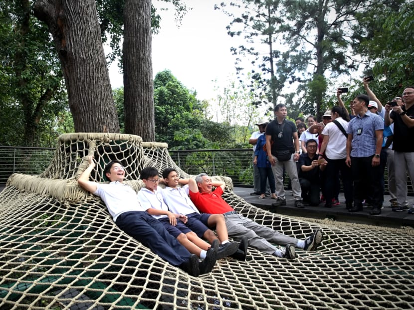 Gallery: New Learning Forest opens at Singapore Botanic Gardens