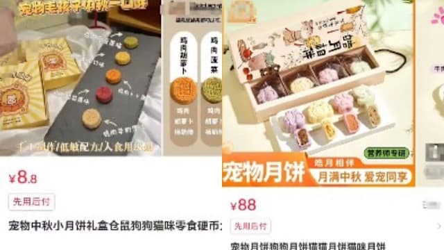 中国开始售卖宠物月饼 网民各持不同看法