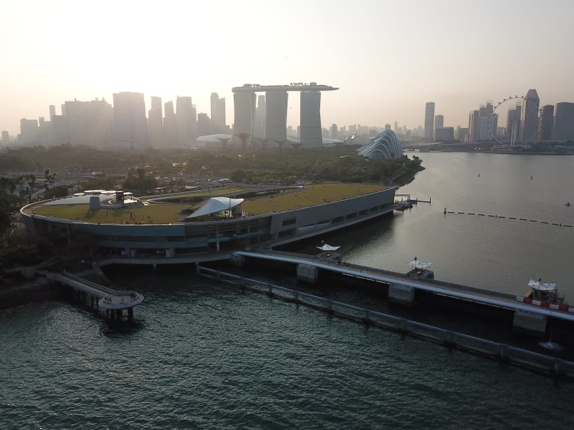 It will likely cost Singapore about S$100 billion over the next 50 to 100 years to protect itself against rising sea levels, Prime Minister Lee Hsien Loong said at his National Day Rally on Sunday (Aug 18). It will likely cost Singapore about S$100 billion over the next 50 to 100 years to protect itself against rising sea levels, Prime Minister Lee Hsien Loong said at his National Day Rally on Sunday (Aug 18).