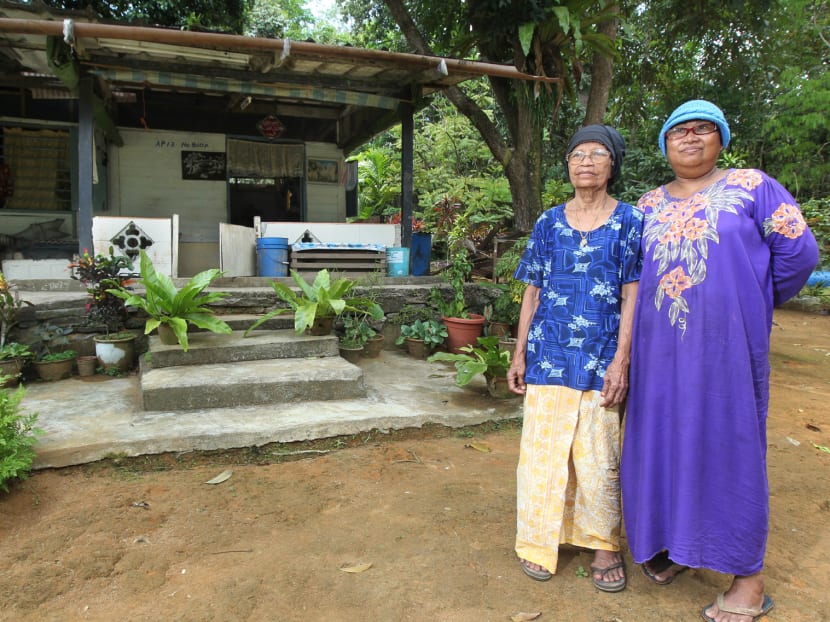 Pulau Ubin to stay rustic for ‘as long as possible’