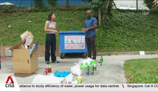Singapore to review 2030 recycling target, seeks to extend lifespan of Pulau Semakau landfill