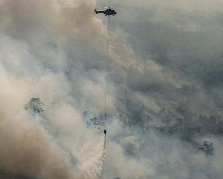 Not all business efforts at conservation are greenwashing, says expert