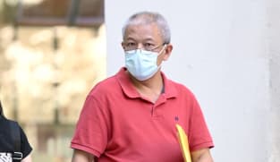 Man fined for damaging PAP posters, flags during 2025 General Election