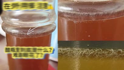 Worm-Like Creatures Seen In Bottle Of Vinegar At Eatery — Turns Out They're Safe To Consume