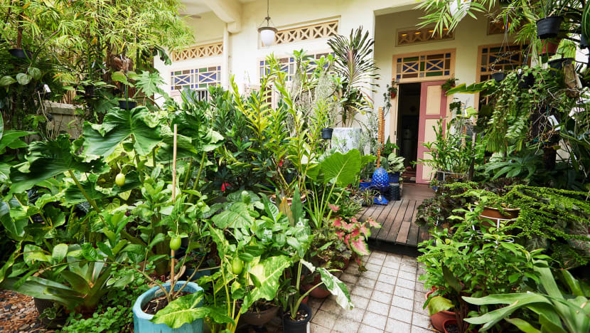 Can’t Keep Your House Plants Alive? Then You'll Need These Gardening Tips For Beginners