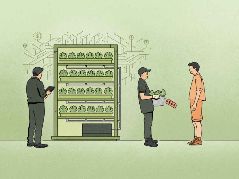 With several farms closing or struggling to break even, what is the future for agriculture in Singapore? With several farms closing or struggling to break even, what is the future for agriculture in Singapore?