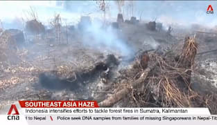 Haze is choking parts of Southeast Asia as wildfires continue to spread in Indonesia