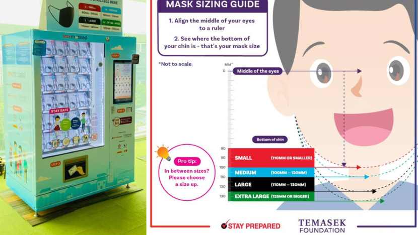 Covid-19: Every Singapore resident to get free pair of reusable masks from Nov 30