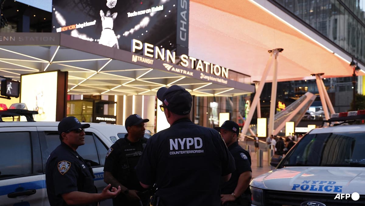 Five injured in stabbing at New York's Penn Station
