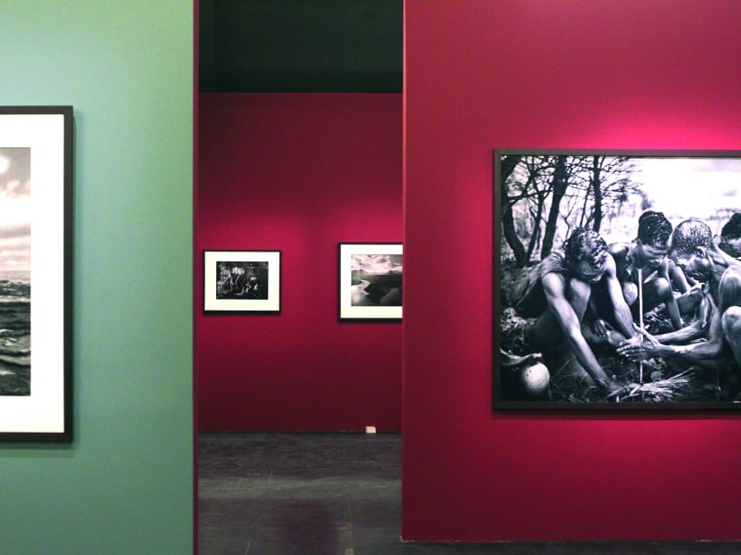 Sebastiao Salgado and the world of Genesis