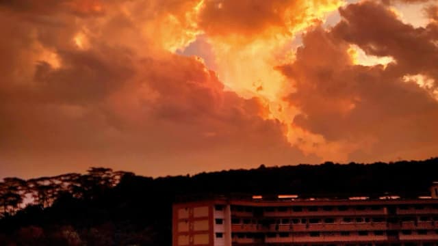 本地破晓时分天际呈金黄色 网民赞叹社媒分享拍照
