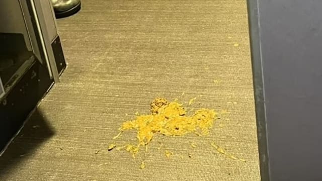 美联航头等舱有狗拉屎 机舱恶臭飞机改道降落