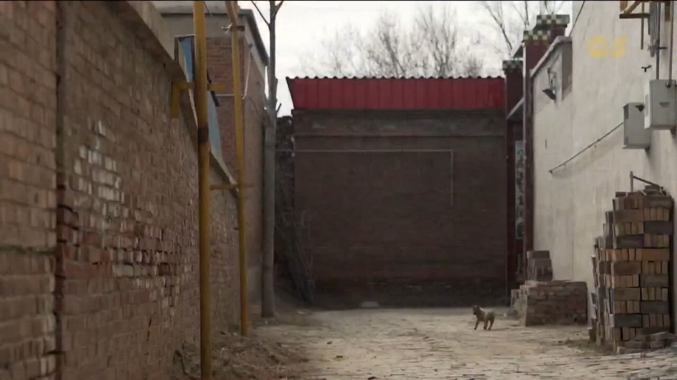 农村居民没钱取暖 中国“煤改气”政策引关注 