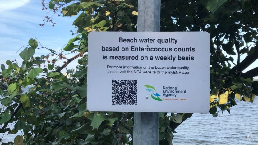 FAQ: What is the bacteria that caused NEA to advise against swimming at two Singapore beaches? FAQ: What is the bacteria that caused NEA to advise against swimming at two Singapore beaches?