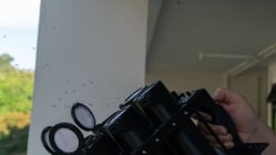 Related article image