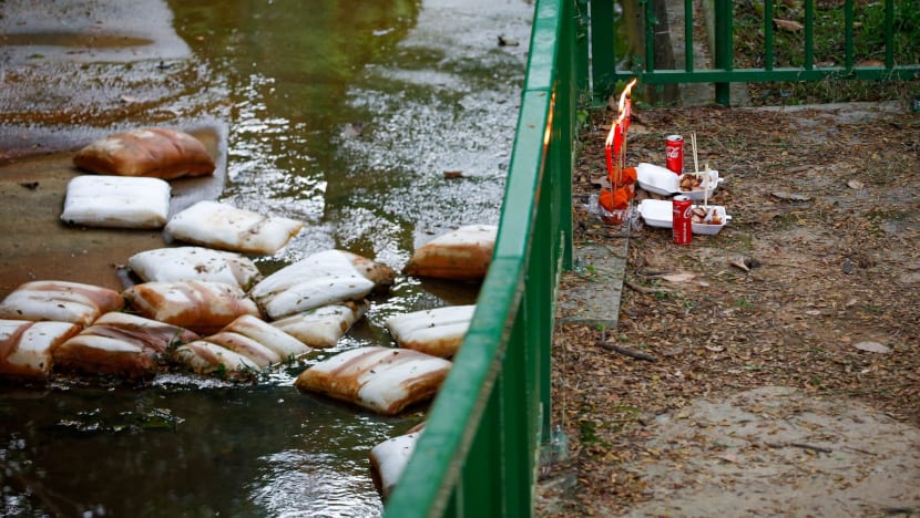 Greenridge Crescent boys’ deaths: 48-year-old father arrested, to be charged with murder