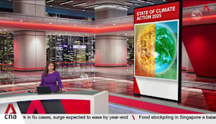 Global coal use reached record high in 2024: Report 