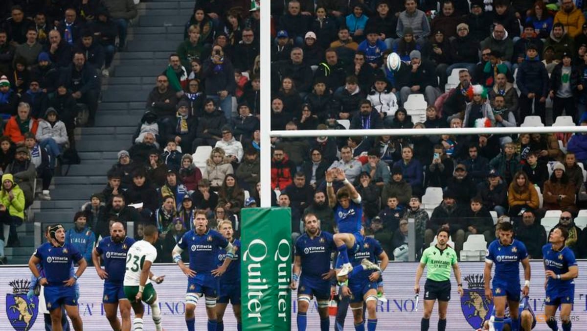 Depleted South Africa overpower Italy to win in Turin