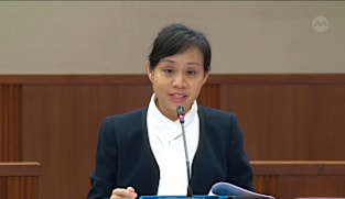 Elysa Chen on National Council of Social Service (Amendment) Bill