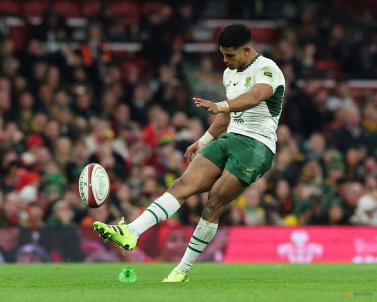 Erasmus confirms Feinberg-Mngomezulu will be fit to face Argentina