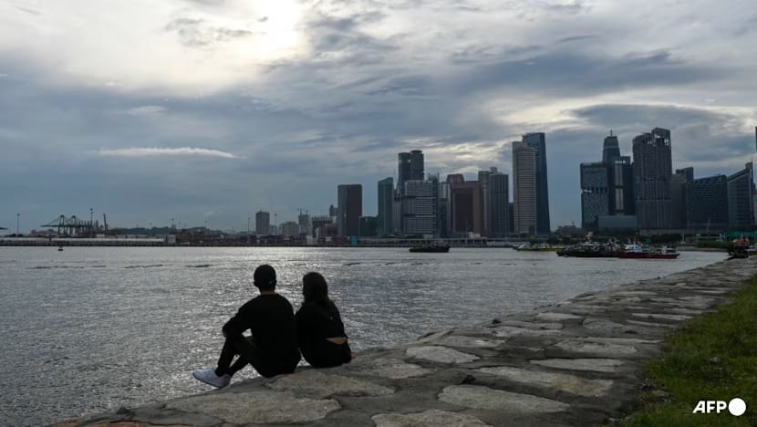 Lebih ramai penduduk muda SG kekal bujang; saiz keluarga semakin kecil