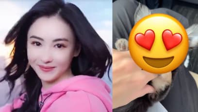 Cecilia Cheung, 42, Has A New Kid And She’s So Cute