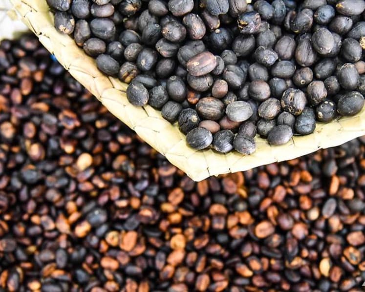 From crop to kopitiam, Asia's coffee is facing its biggest threat - climate change