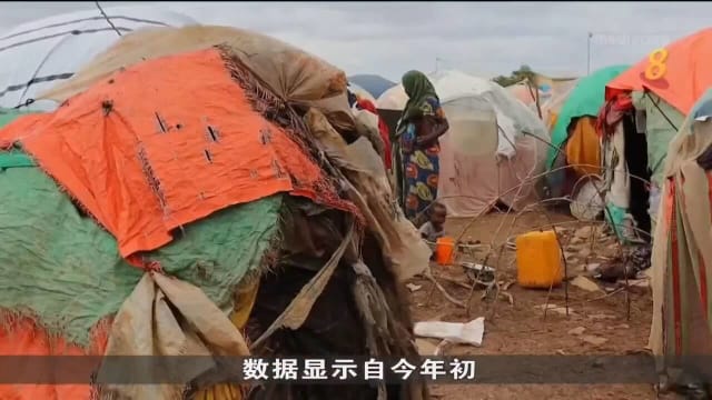 联合国：索马里连续多个雨季缺水 导致紧急状态升温