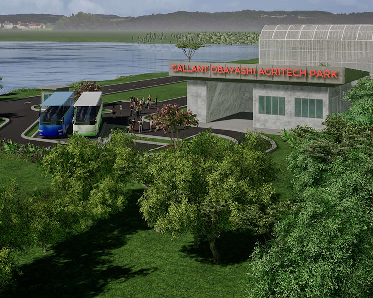 Public-listed firm, Japanese partner to grow vegetables in Bintan for fresh picking by visitors, export to Singapore