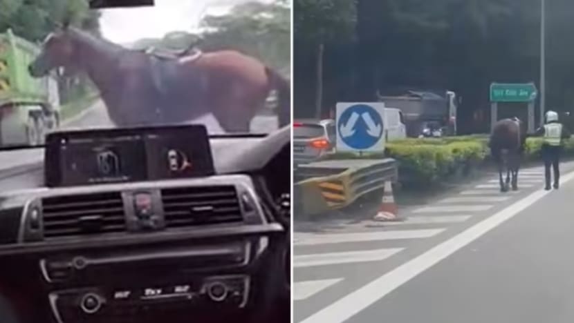 Kuda dilihat berlari di BKE 'dibawa pulang ke kandang kuda dengan selamat'
