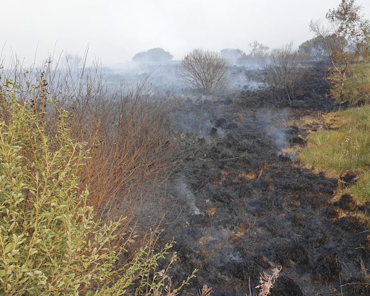 Residents evacuate as Belgium wildfire scorches 1,600 hectares Residents evacuate as Belgium wildfire scorches 1,600 hectares