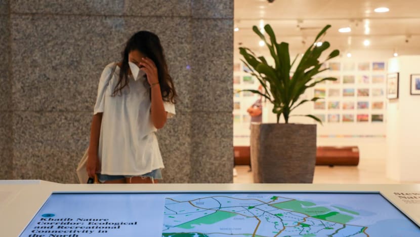 S'pore in next 50 years: Open-plan flats, 'identity corridors', recreational spots on Southern Islands among URA's plans 