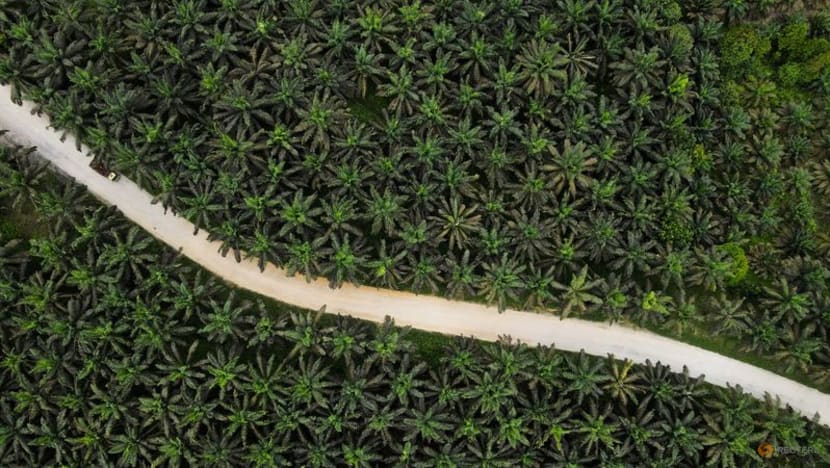 Indonesia seizes US$725 million from Wilmar Group in palm oil graft case