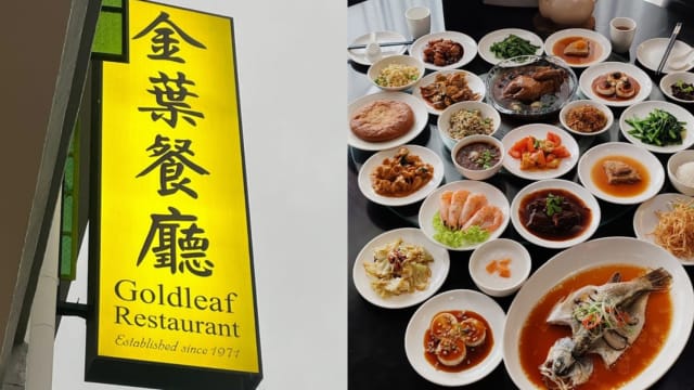 金叶餐厅周日任点任吃午、晚餐回归，免收消费税！