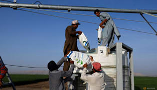 UAE fertiliser giant warns of global food impact as it turns to trucks to bypass Hormuz