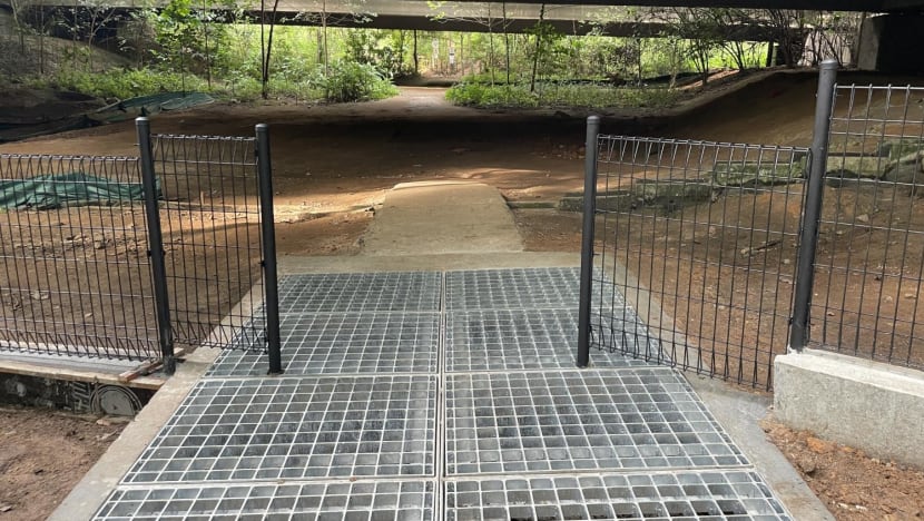 Fences, grids put up at Zhenghua Nature Park to reduce human-wild boar encounters