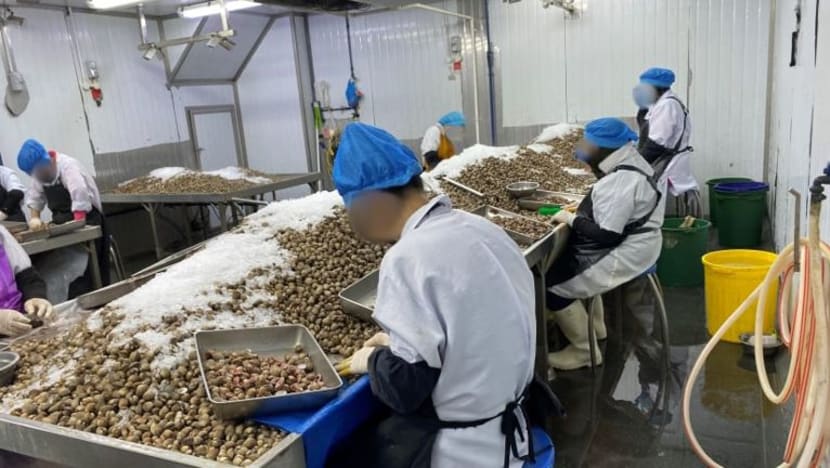 SFA gantung operasi pengendali makanan yang proses kerang, simpan produk makanan secara haram