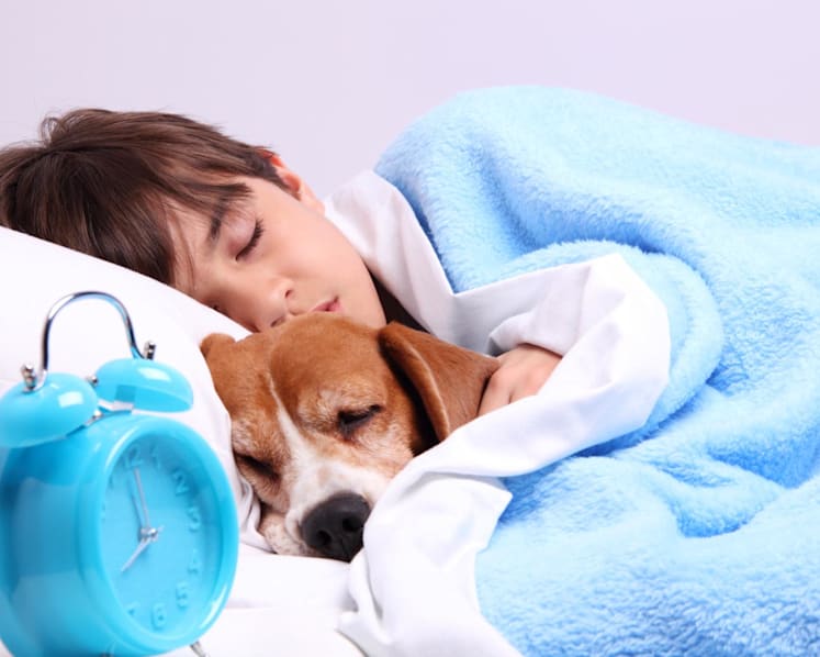 Commentary: There are benefits to sharing a bed with your pet - as long as you’re scrupulously clean