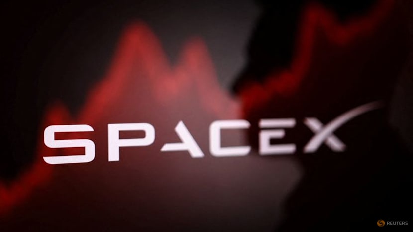 After record IPO, Musk's SpaceX faces next test in market debut