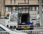 Japan city relieved as bear caught after roaming streets for days